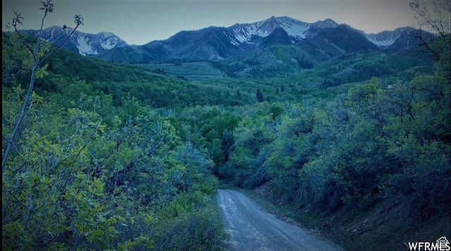 13 N Happy Hollow Dr Unit 13, Springville, UT 84663