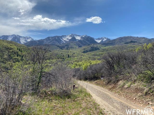 13 N Happy Hollow Dr Unit 13, Springville, UT 84663