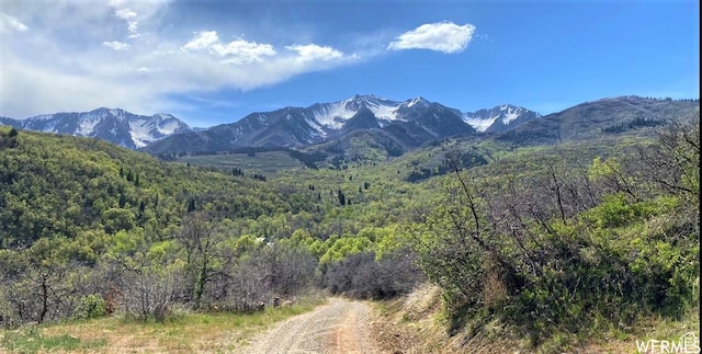 13 N Happy Hollow Dr Unit 13, Springville, UT 84663