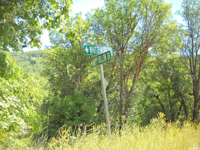 13 N Happy Hollow Dr Unit 13, Springville, UT 84663