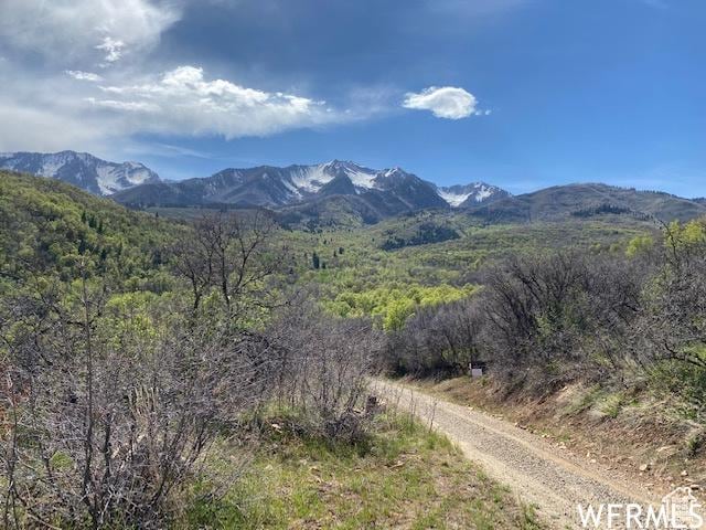 13 N Happy Hollow Dr Unit 13, Springville, UT 84663