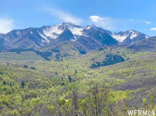13 N Happy Hollow Dr Unit 13, Springville, UT 84663