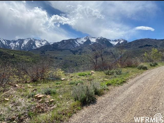 13 N Happy Hollow Dr Unit 13, Springville, UT 84663