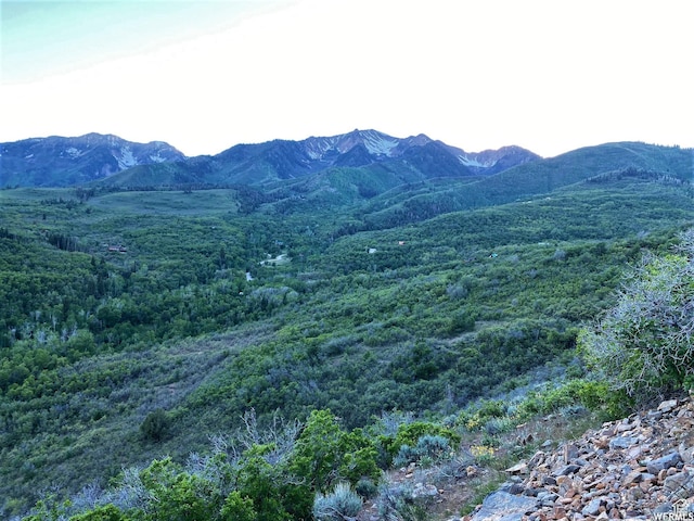13 N Happy Hollow Dr Unit 13, Springville, UT 84663
