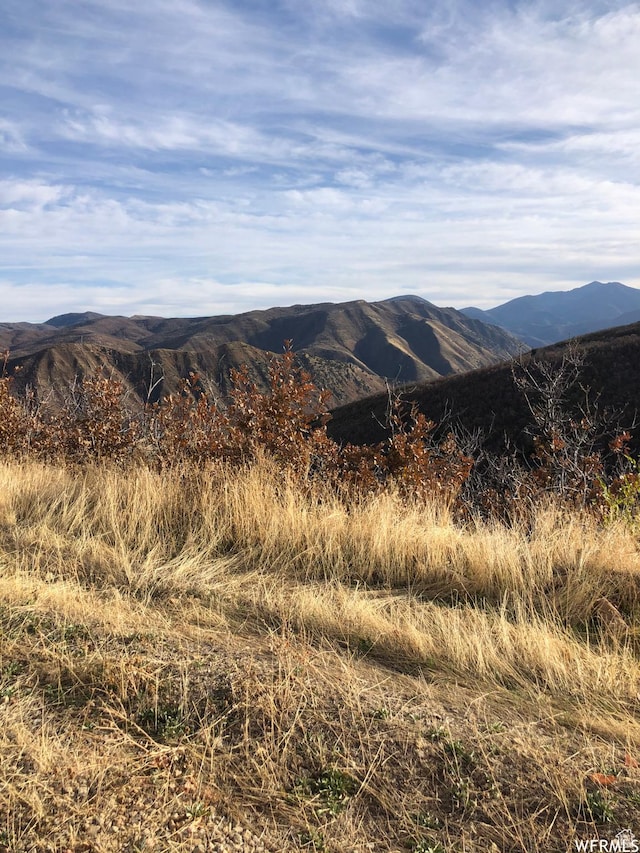 13 N Happy Hollow Dr Unit 13, Springville, UT 84663