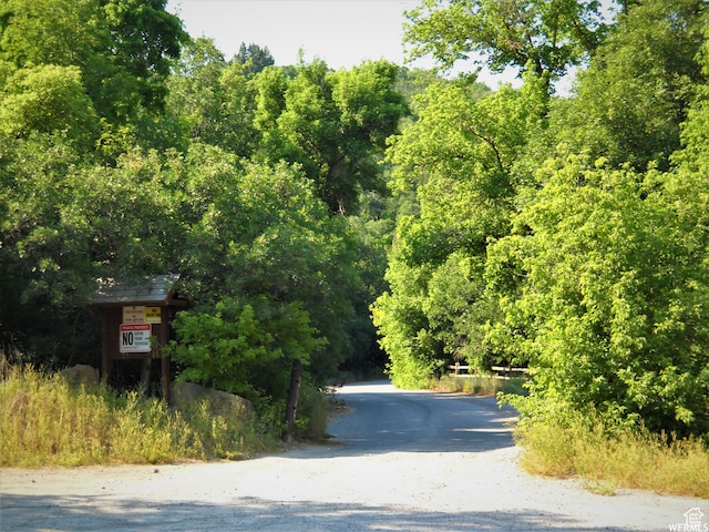 13 N Happy Hollow Dr Unit 13, Springville, UT 84663