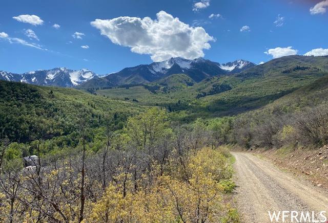 13 N Happy Hollow Dr Unit 13, Springville, UT 84663
