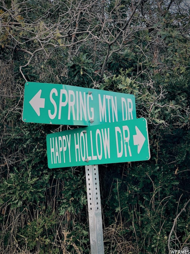 13 N Happy Hollow Dr Unit 13, Springville, UT 84663
