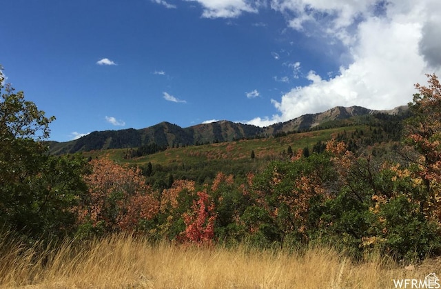 13 N Happy Hollow Dr Unit 13, Springville, UT 84663
