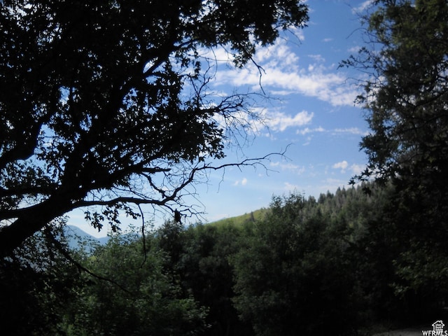 13 N Happy Hollow Dr Unit 13, Springville, UT 84663