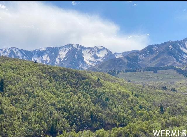 13 N Happy Hollow Dr Unit 13, Springville, UT 84663