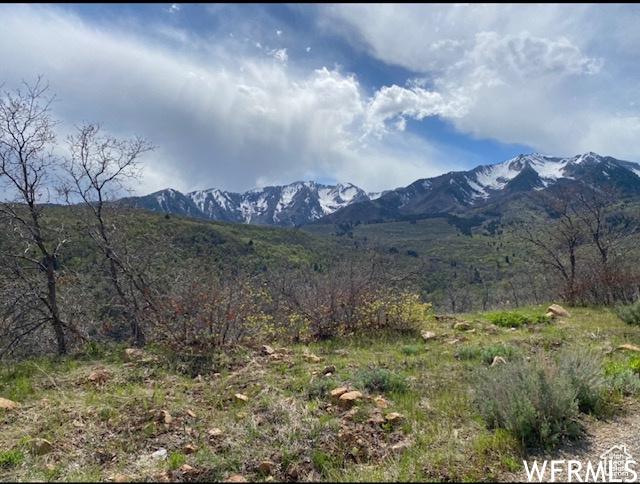 13 N Happy Hollow Dr Unit 13, Springville, UT 84663