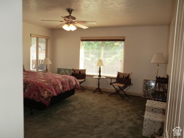 320 S 1125 W, Parowan, UT 84761 - bedroom with carpet, a textured ceiling, and a ceiling fan