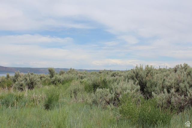 100 Lotus Dr Unit 181, Fish Haven, ID 83287