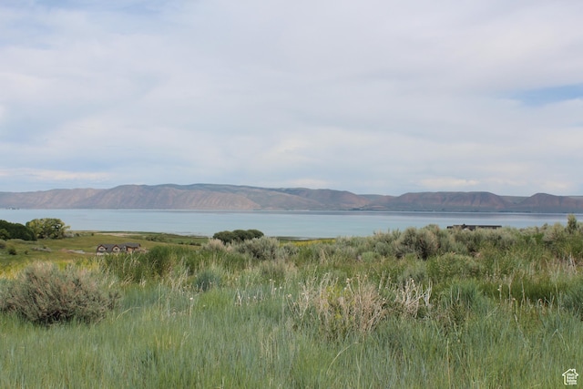 100 Lotus Dr Unit 181, Fish Haven, ID 83287