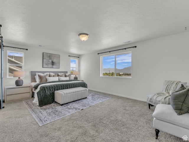 13249 S Shearing Cv, Herriman, UT 84096 - bedroom featuring a textured ceiling and carpet floors