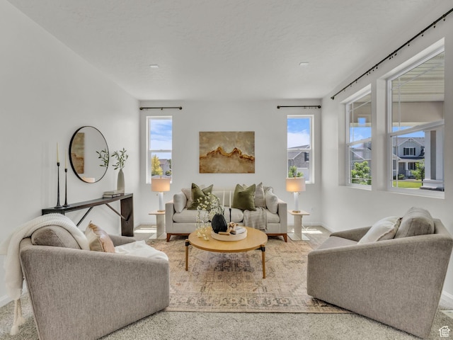 13249 S Shearing Cv, Herriman, UT 84096 - carpeted living area with healthy amount of natural light