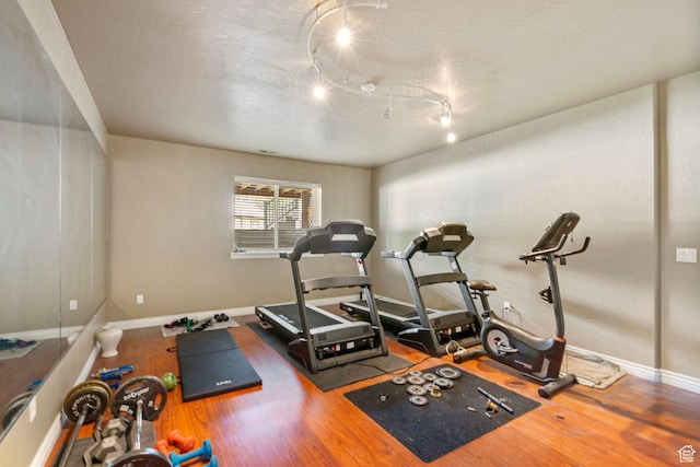5584 N Gentle Breeze Ct, Stansbury Park, UT 84074 - workout room with wood finished floors and rail lighting