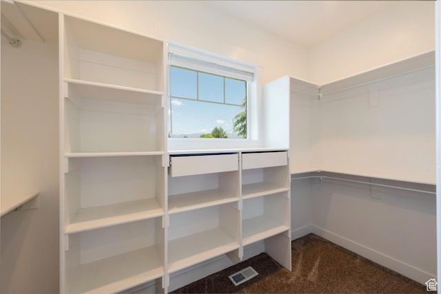 1233 S 2240 E, Heber City, UT 84032 - spacious closet featuring carpet floors