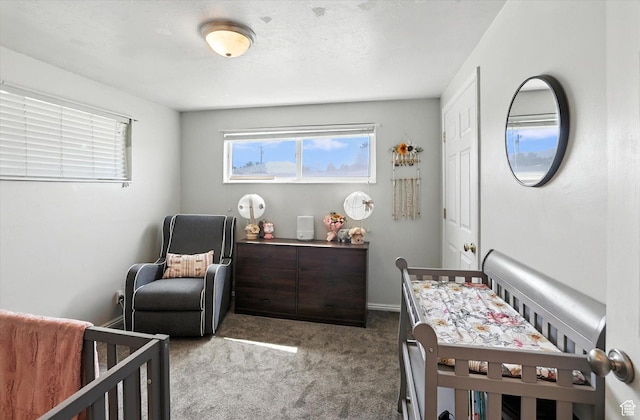 318 W 1300 N, Sunset, UT 84015 - bedroom with carpet and a crib