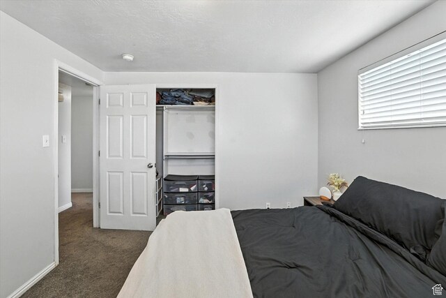 318 W 1300 N, Sunset, UT 84015 - bedroom featuring carpet flooring and a closet