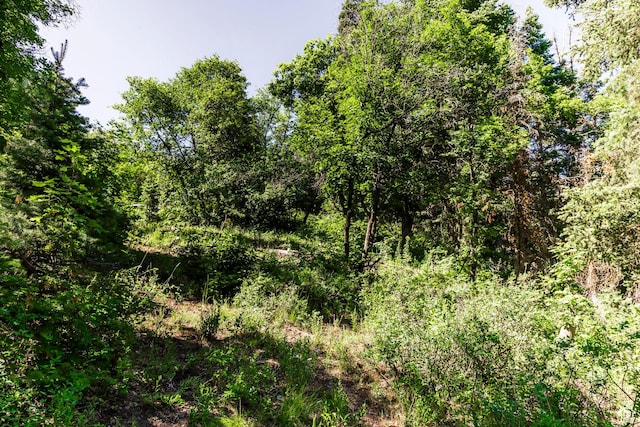 951 Hidden Cir Unit D119, Wanship, UT 84017