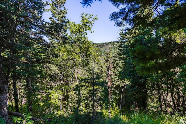 951 Hidden Cir Unit D119, Wanship, UT 84017