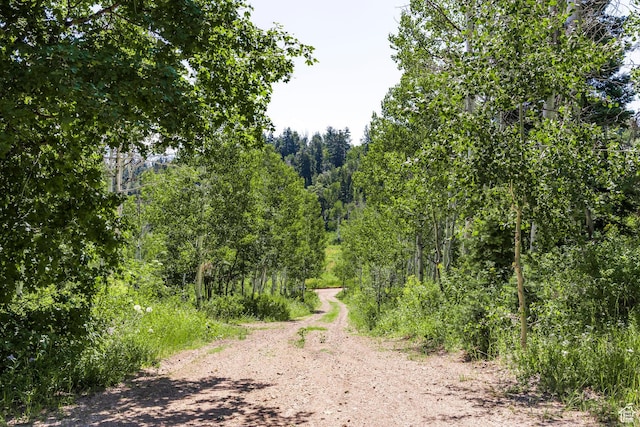 951 Hidden Cir Unit D119, Wanship, UT 84017