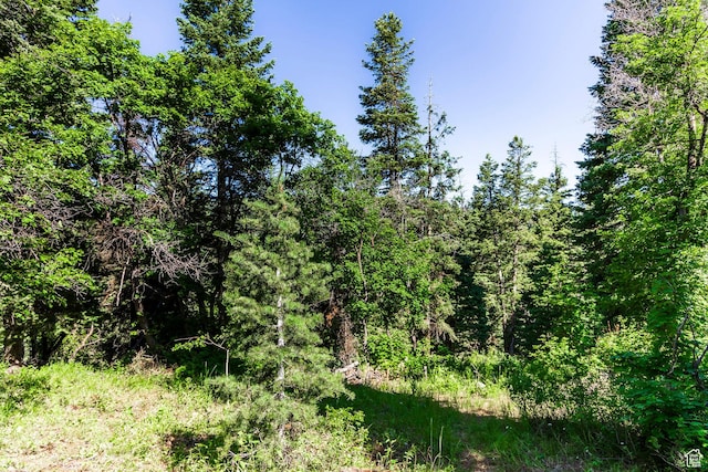 951 Hidden Cir Unit D119, Wanship, UT 84017