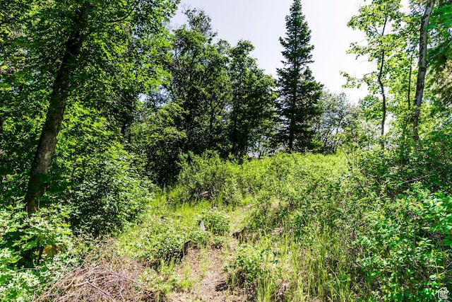 951 Hidden Cir Unit D119, Wanship, UT 84017