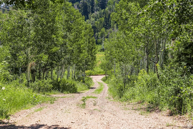 951 Hidden Cir Unit D119, Wanship, UT 84017