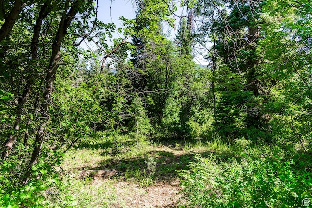 951 Hidden Cir Unit D119, Wanship, UT 84017