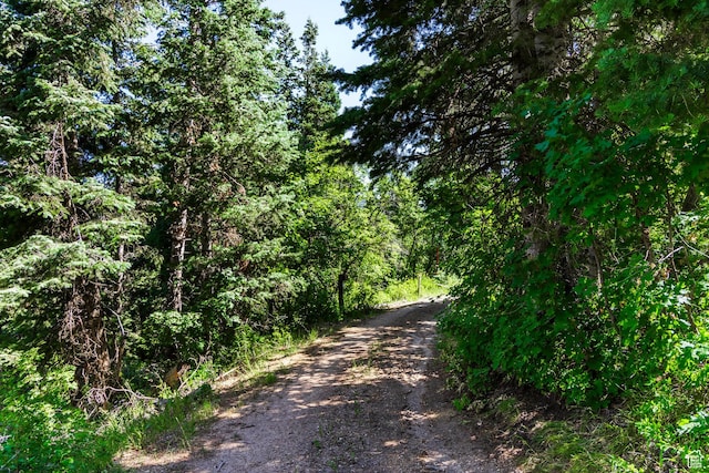 951 Hidden Cir Unit D119, Wanship, UT 84017