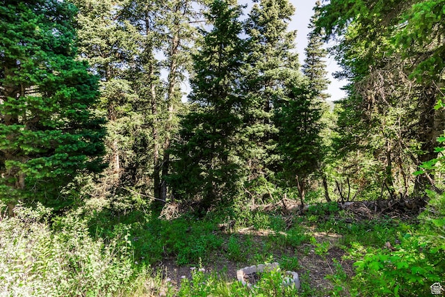 951 Hidden Cir Unit D119, Wanship, UT 84017