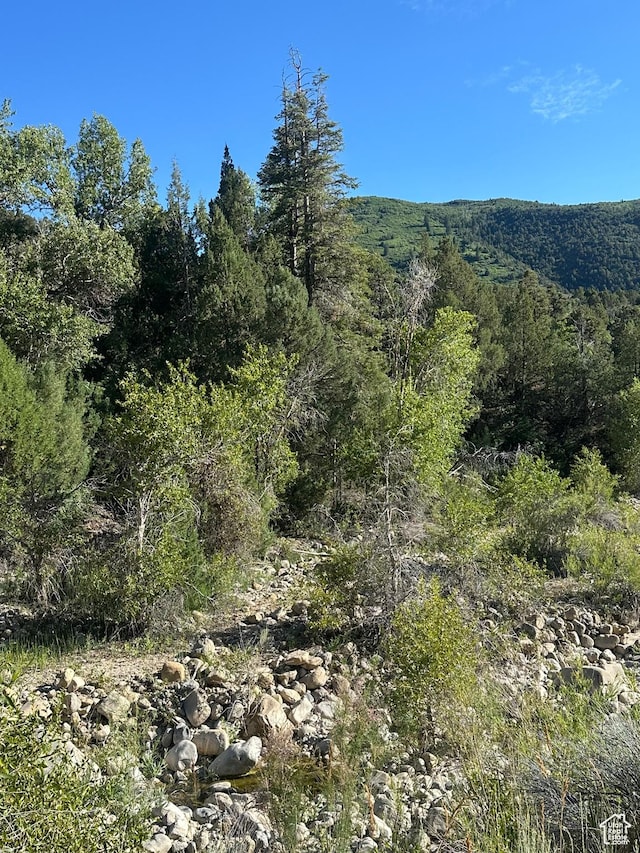 Unit 1, Ephraim, UT 84627