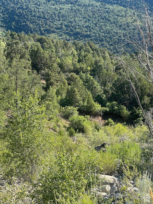 Unit 1, Ephraim, UT 84627
