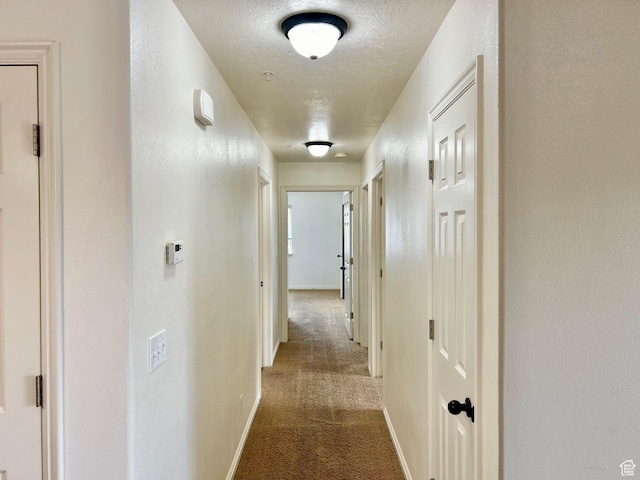 8204 N Cedar Springs Rd E Unit U-12, Eagle Mountain, UT 84005 - corridor with carpet flooring and baseboards