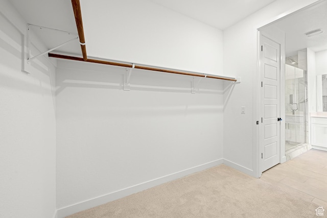 578 S Cecita Way Unit 91, St George, UT 84770 - spacious closet featuring carpet flooring