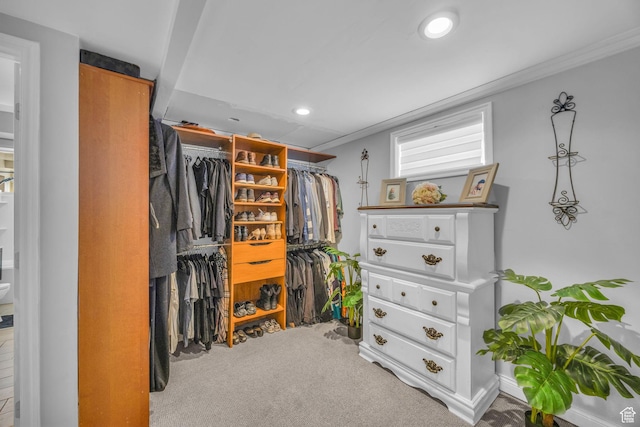 4682 S 475 W, Washington Terrace, UT 84405 - spacious closet with carpet floors