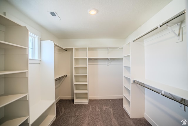 10942 S Samoa Dune Dr, South Jordan, UT 84009 - spacious closet featuring dark carpet
