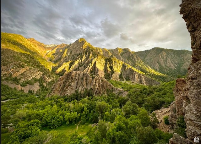 1074 E Spring Ridge Dr, Sandy, UT 84094 - view of mountain background