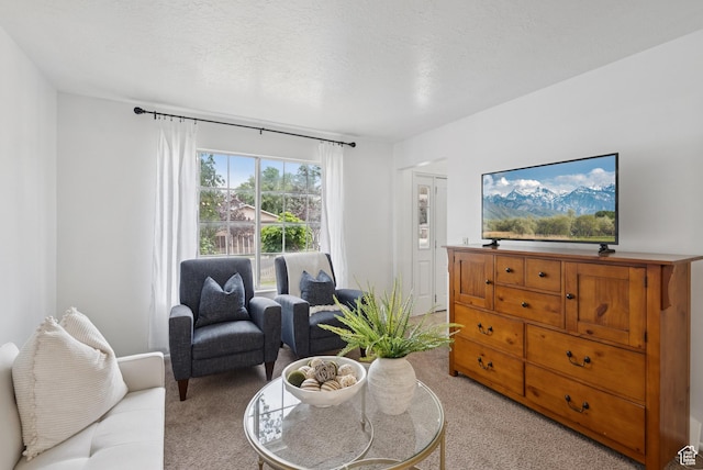 1074 E Spring Ridge Dr, Sandy, UT 84094 - living room with light colored carpet