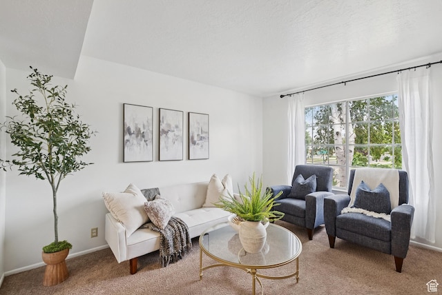 1074 E Spring Ridge Dr, Sandy, UT 84094 - living area featuring carpet floors and baseboards