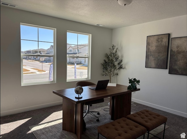 1536 E Pheasant Rd Unit 214, Eagle Mountain, UT 84005 - carpeted office featuring baseboards and a textured ceiling