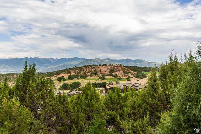 223 N Ibapah Peak Dr, Heber City, UT 84032 - view of mountain backdrop