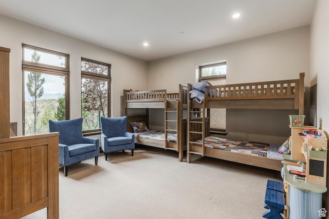 223 N Ibapah Peak Dr, Heber City, UT 84032 - carpeted bedroom with recessed lighting