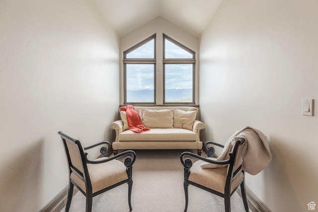 223 N Ibapah Peak Dr, Heber City, UT 84032 - living area with lofted ceiling and carpet