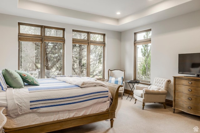223 N Ibapah Peak Dr, Heber City, UT 84032 - bedroom featuring a raised ceiling, light carpet, and recessed lighting