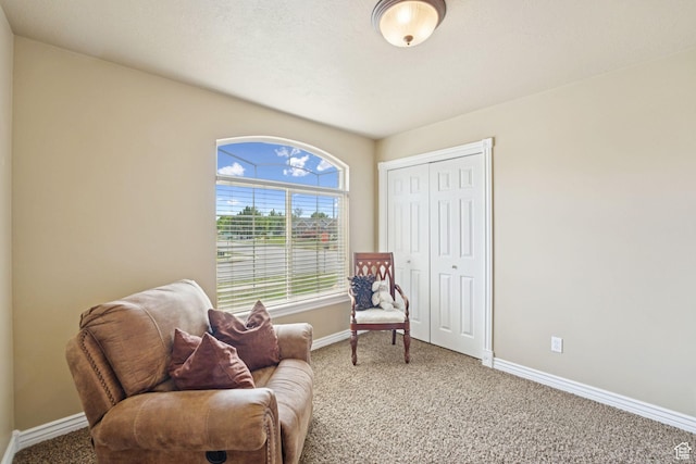 868 W Brandon Dr S, Kaysville, UT 84037 - sitting room featuring carpet flooring and baseboards