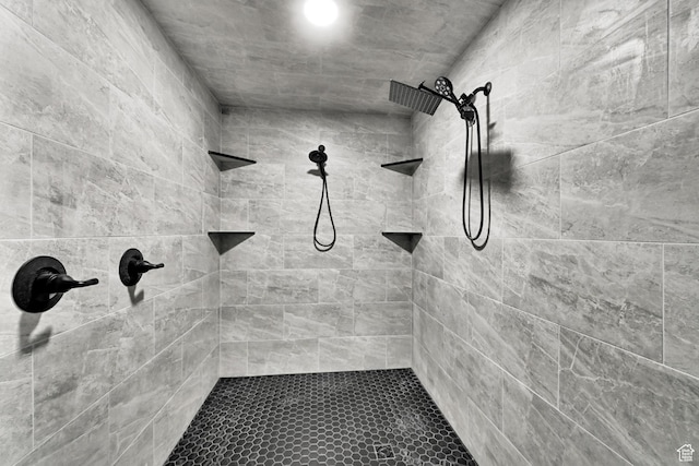 5577 W 4000 S, Hooper, UT 84315 - bathroom with tiled shower